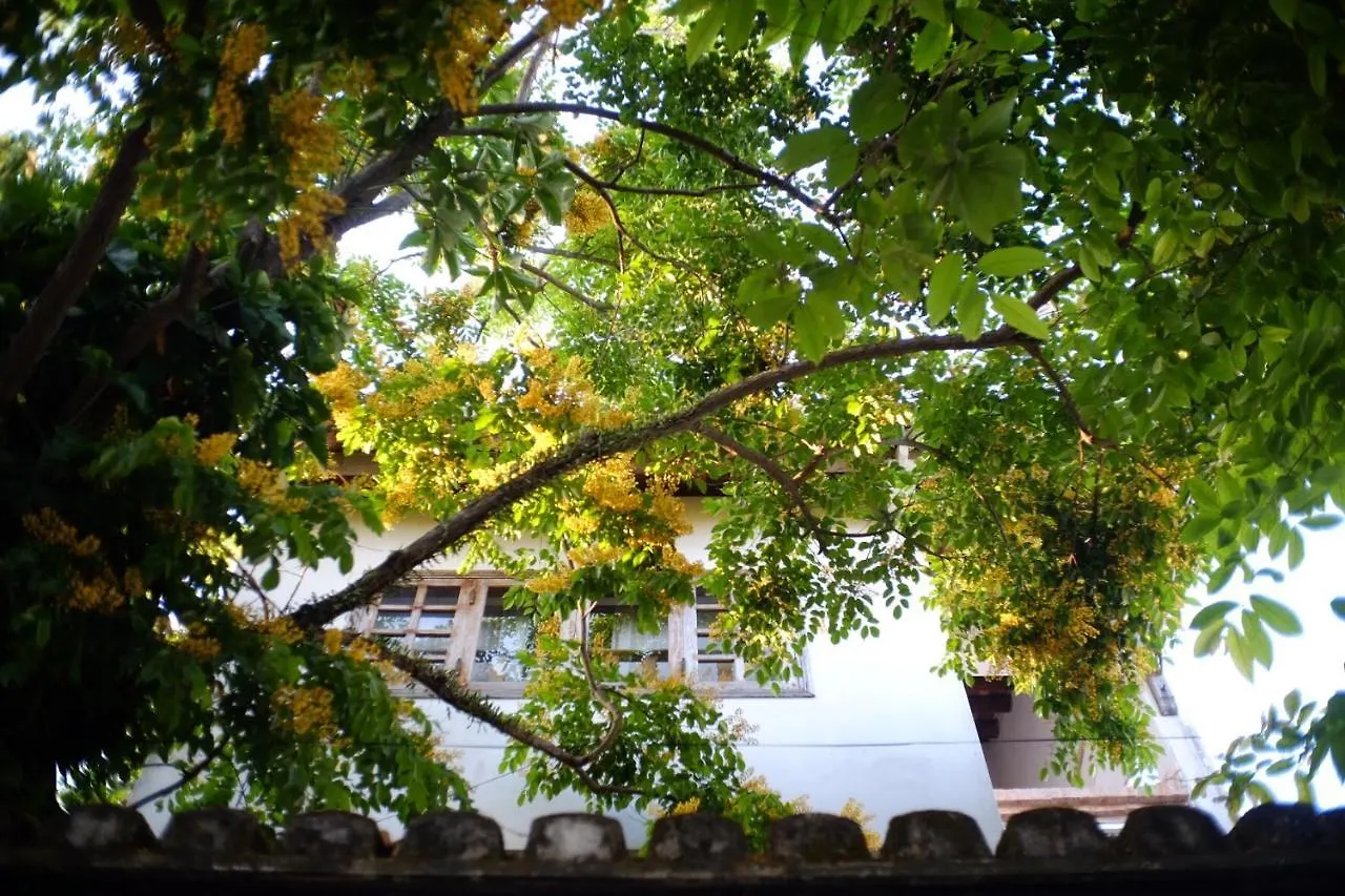 Pansiyon Mali Home Hoi An